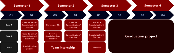 Curriculum MSc AI&ES overview