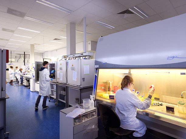 laboratory for Cell and Tissue Engineering, department of BioMedical Engineering, Eindhoven University of Technology