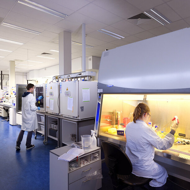 laboratory for Cell and Tissue Engineering, department of BioMedical Engineering, Eindhoven University of Technology