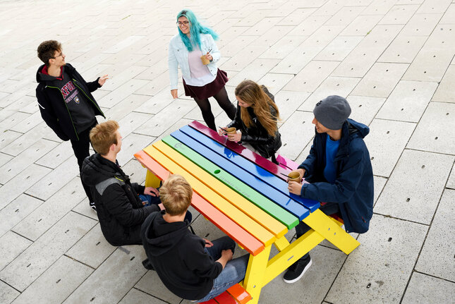 Rainbow-painted picnic benches are scattered across our campus. Archive photo: Bart van Overbeeke