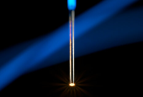 Photonic crystal fiber-tip sensor from the research of Andrea Fiore. Photo: Bart van Overbeeke. 