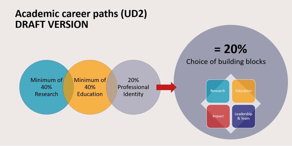 Proposed work ratio for scientists (UD2) beginning their career. Image: TU/e
